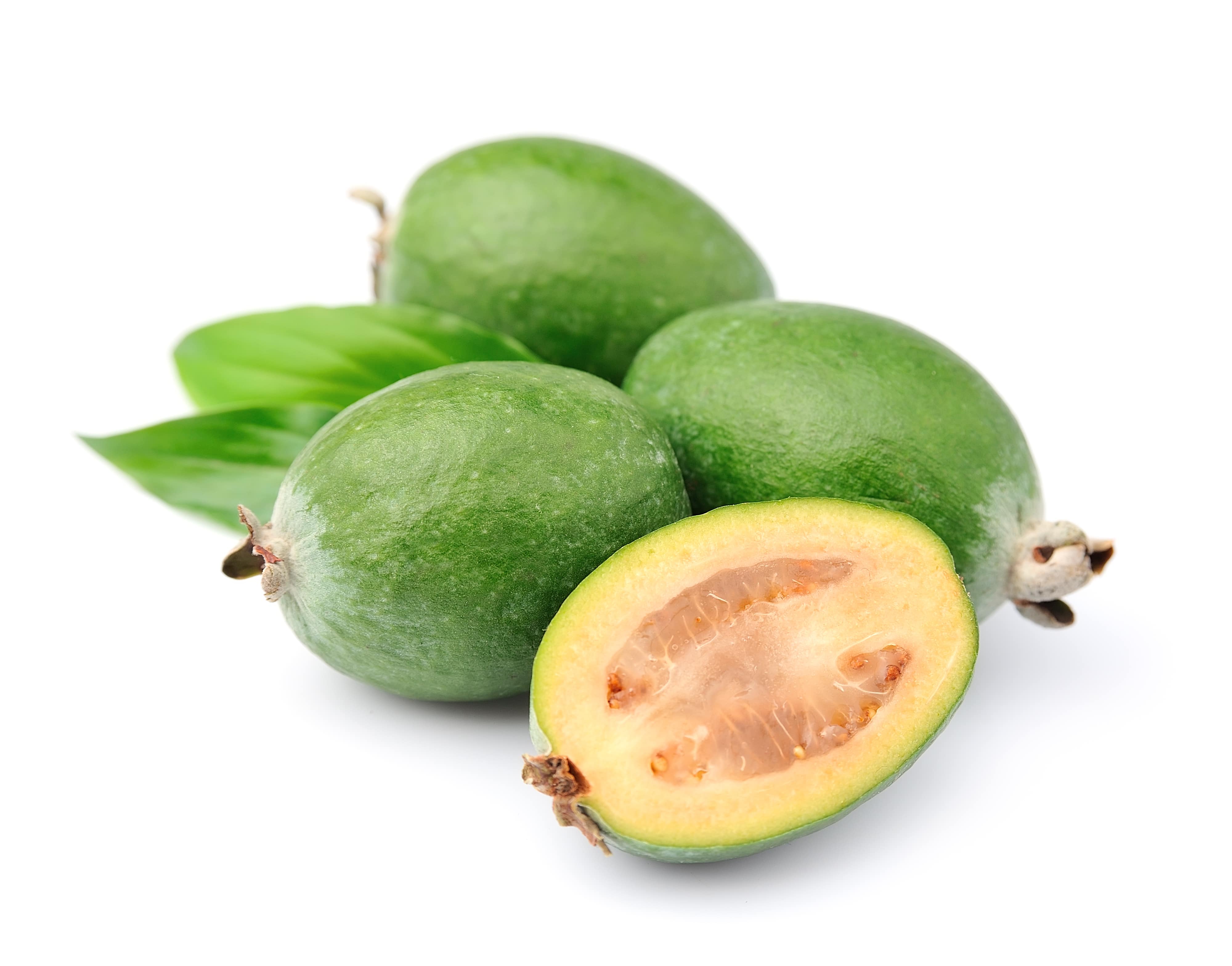 feijoa