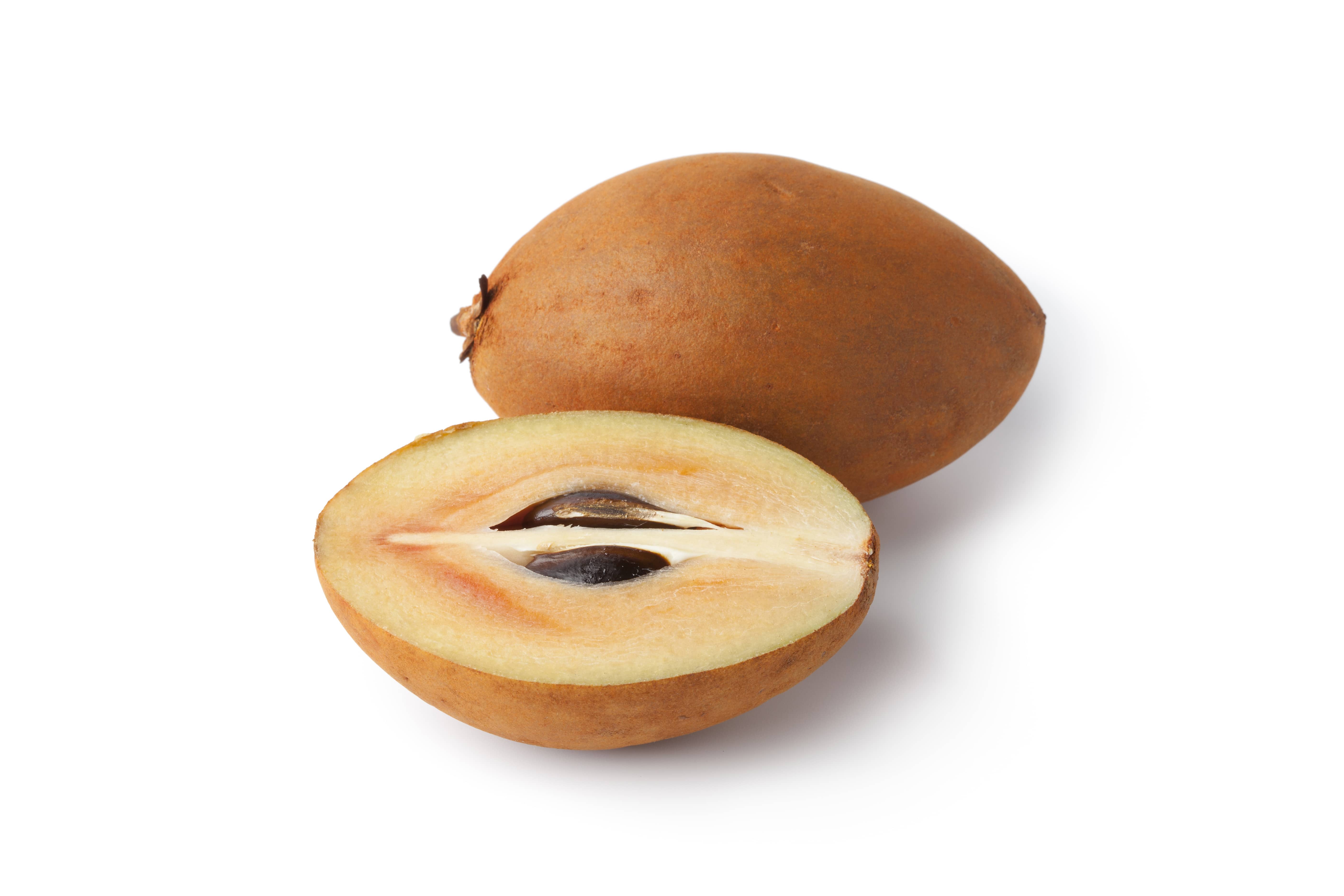 sapodilla