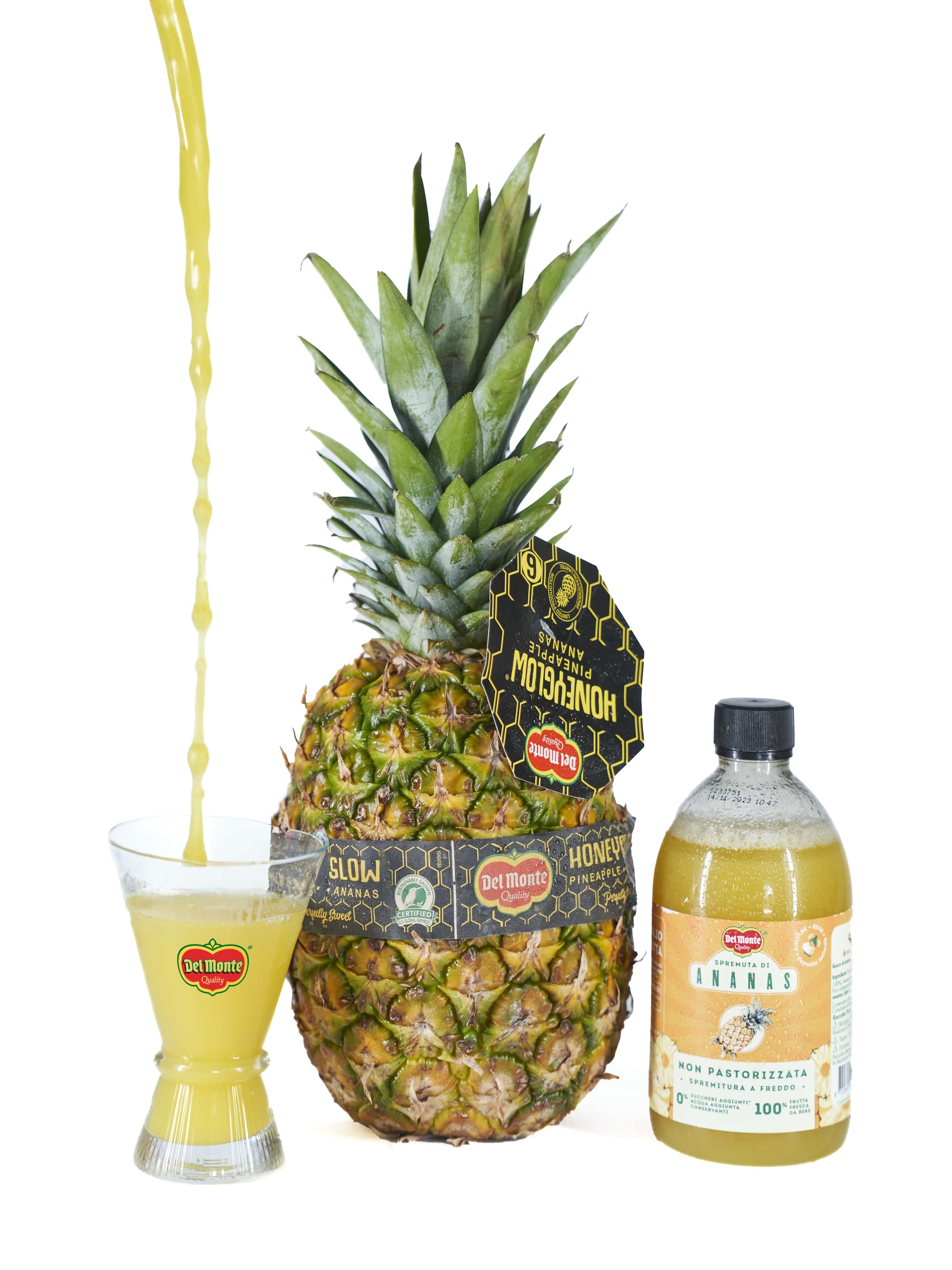 Ananas e centrifuga del monte