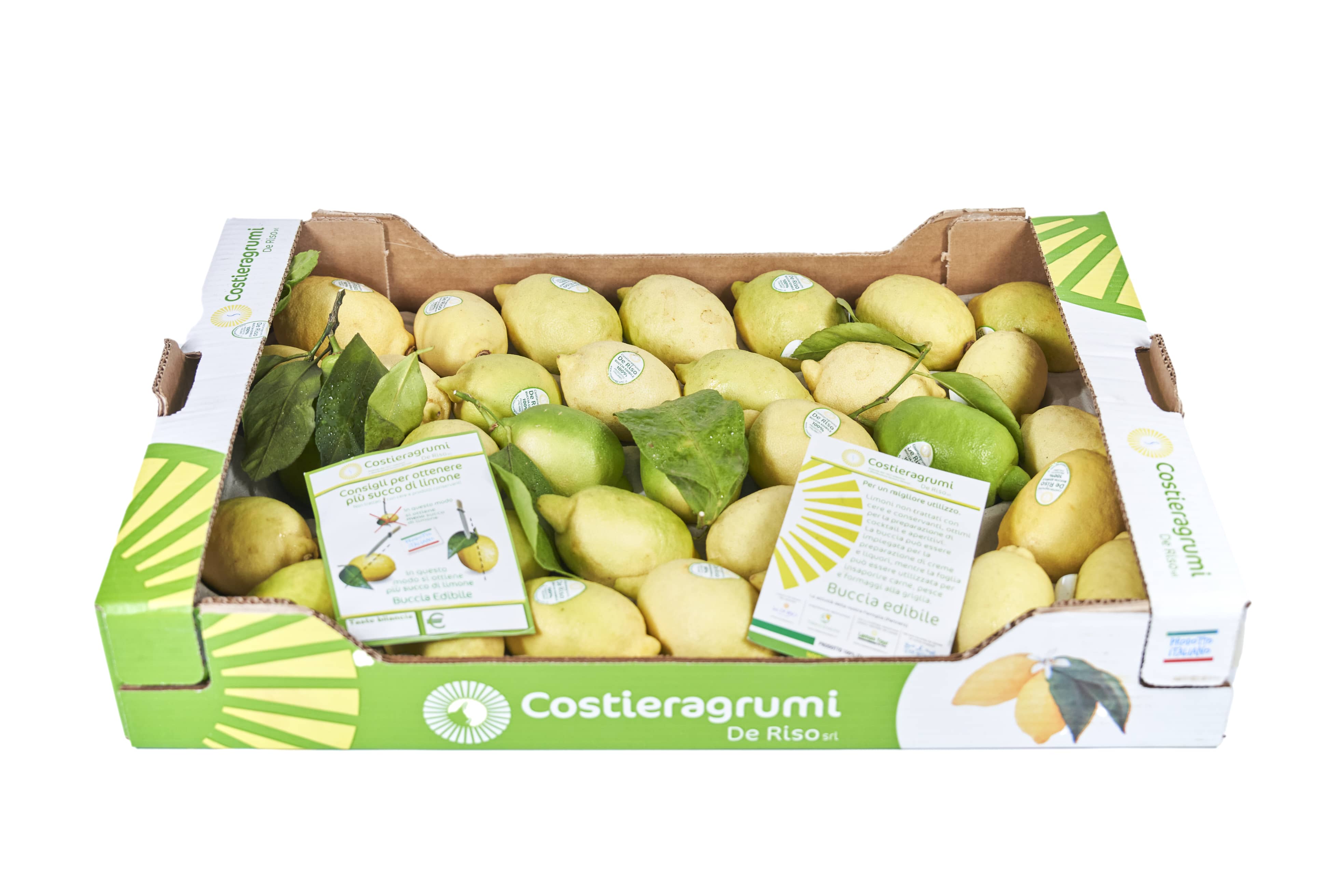 Limoni costiera agrumi